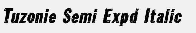 Tuzonie Semi Expd Italic